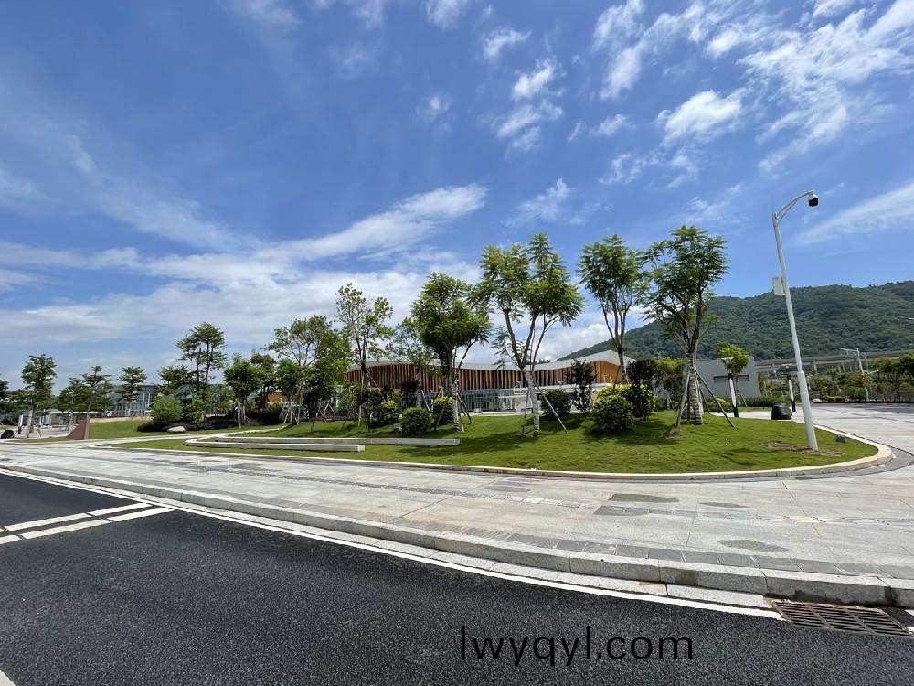 高鐵站(zhan)綠(lv)化(hua)案例(li)