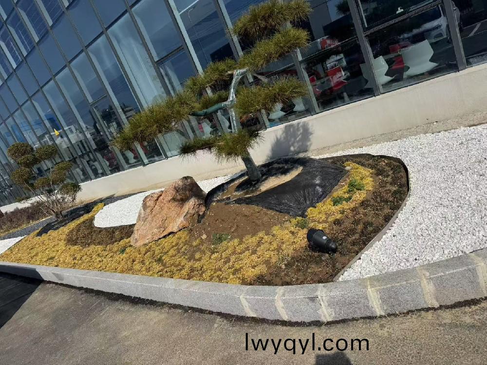 宿遷某(mou)瑞(rui)森企業(yè)(ye)廠房內部(bu)綠化